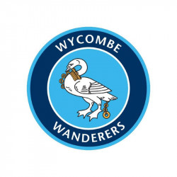 Wycombe Wanderers Fan Visual